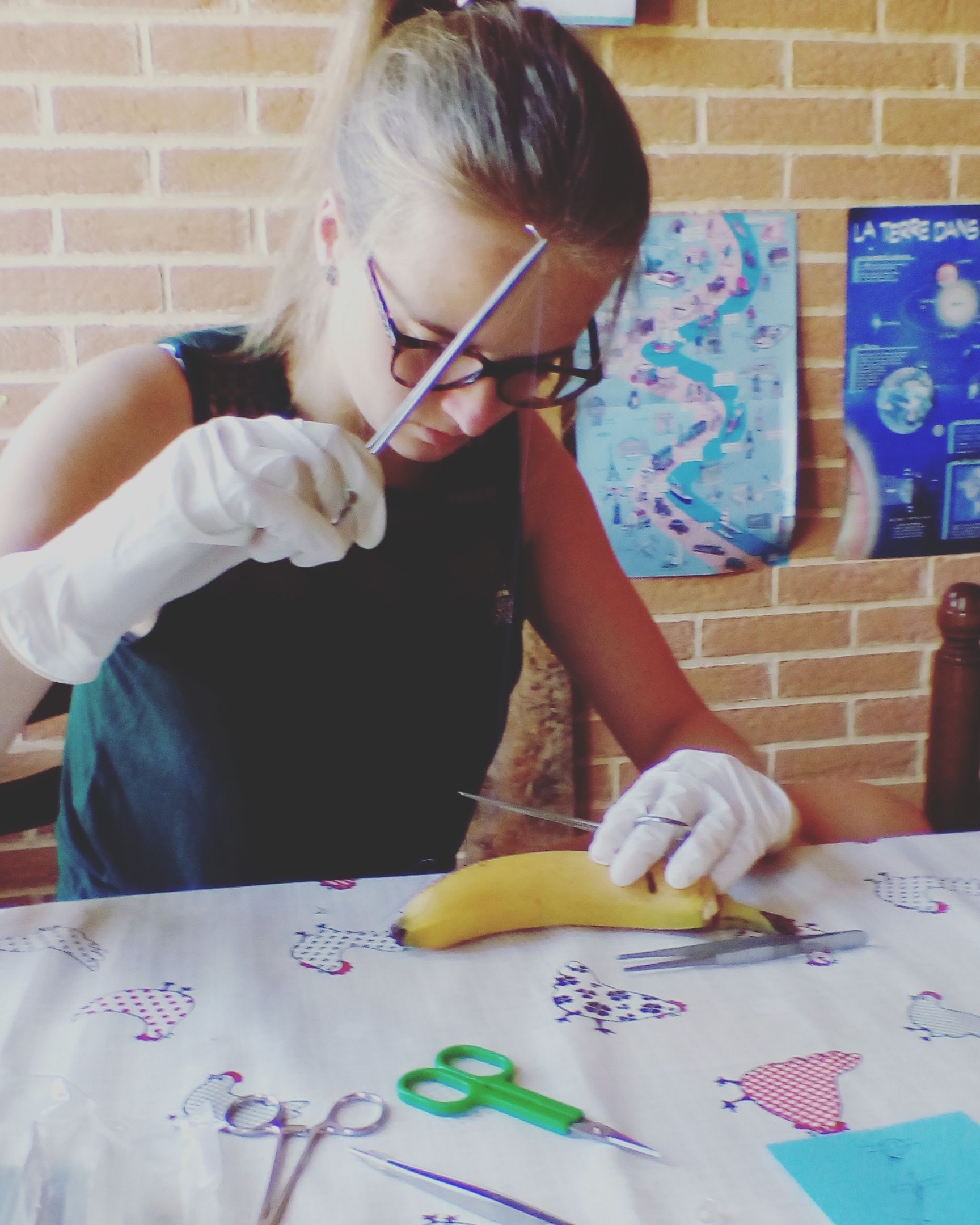 Que Faire Après Avoir Raté 2 Année De Médecine Mathilde, classée 9e au concours de médecine: "La sensation d'être